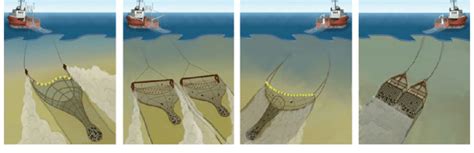 otter trawl board requirements